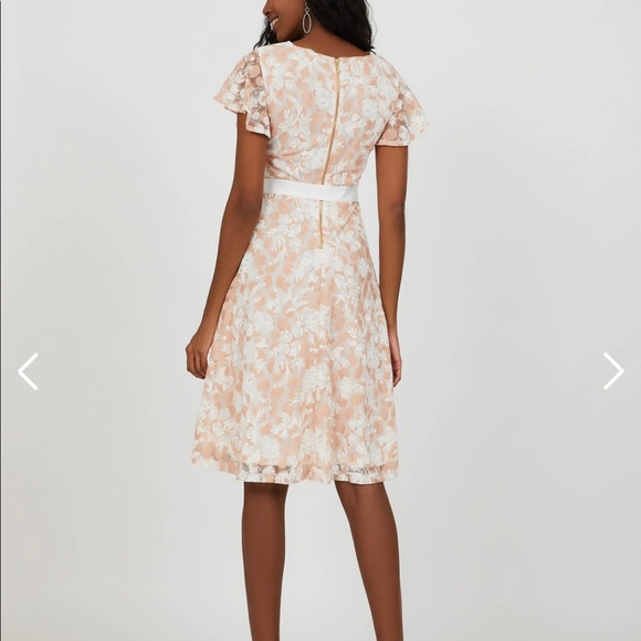 Flutter sleeve lace dress SUZY SHIER - Picture 2 of 11
